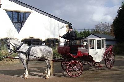 Horse and Carriage Arrival