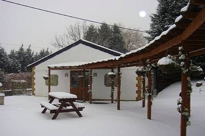 Mallard Suite in the Snow