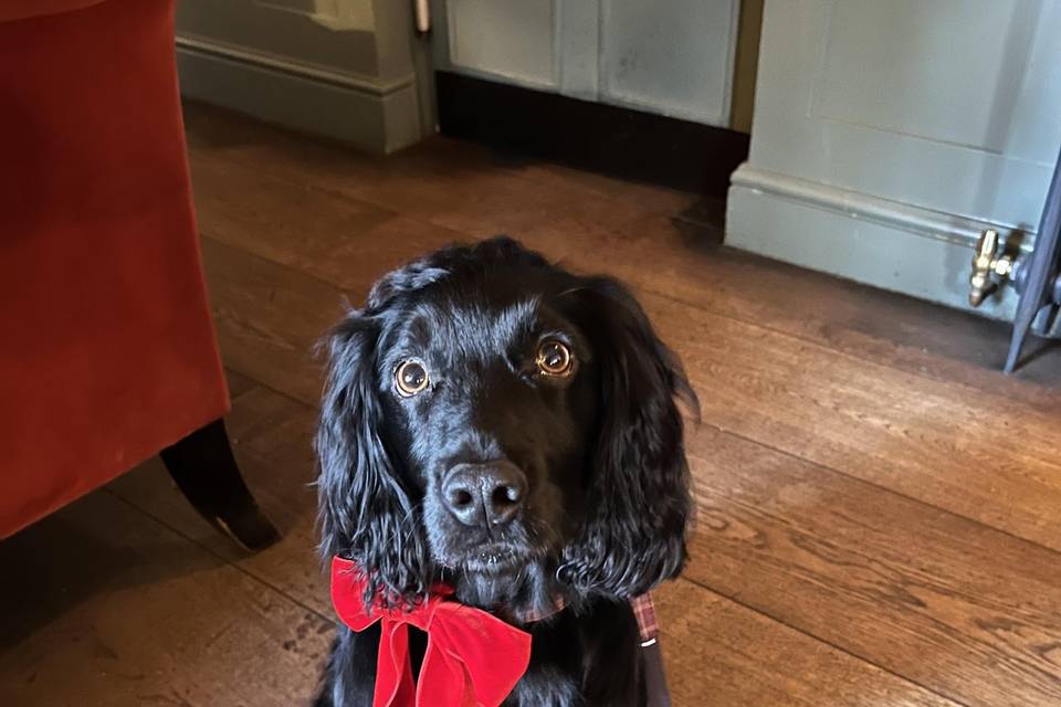 Cotswolds Winter Wedding 4