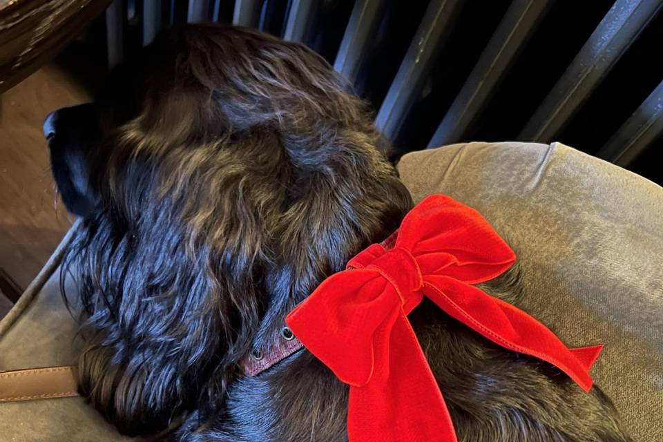 Cotswolds Winter Wedding 5