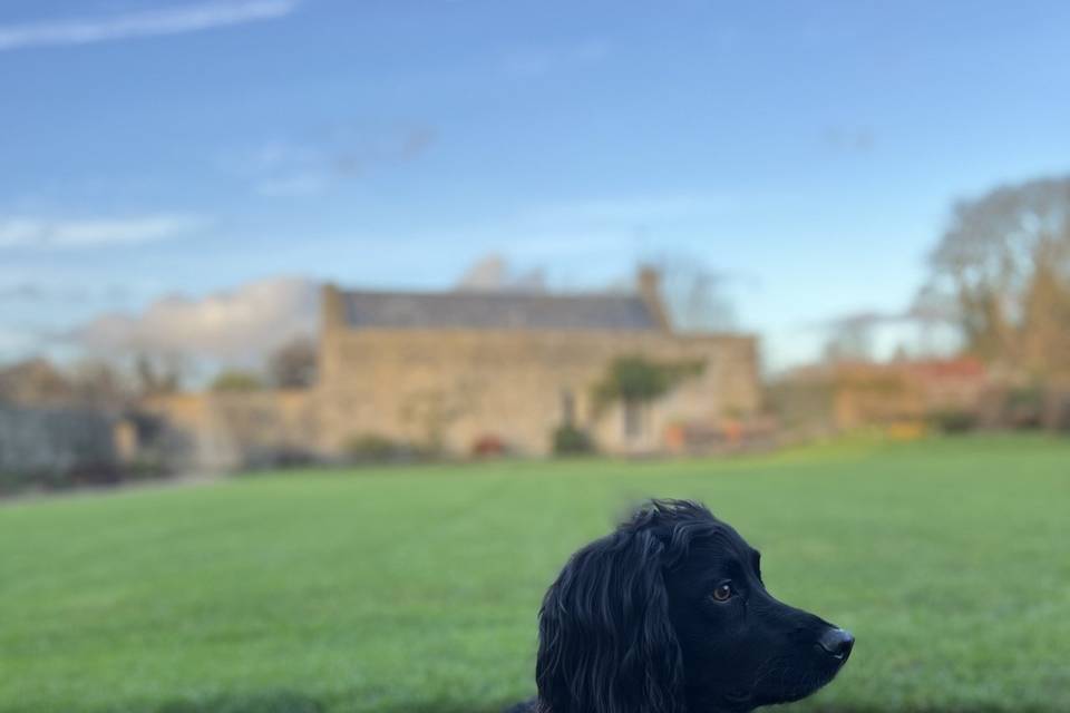 Cotswolds Winter Wedding 6