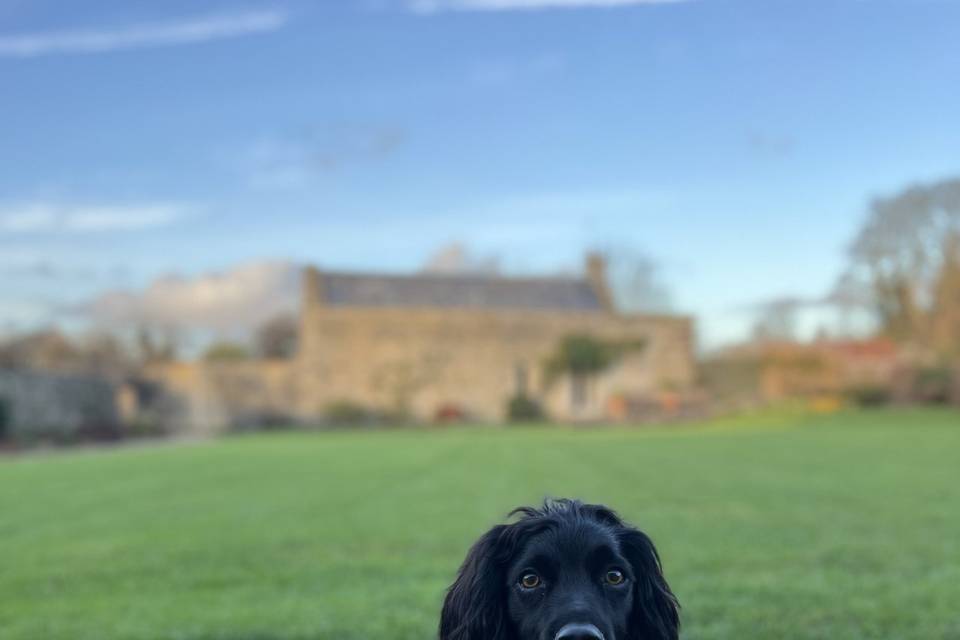 Cotswolds Winter Wedding 7