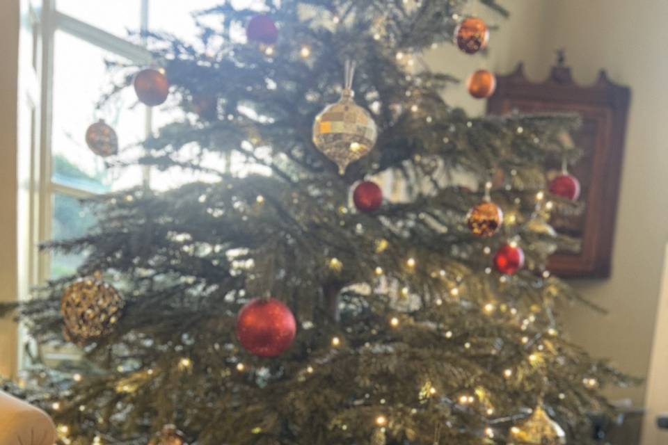 Cotswolds Winter Wedding 8