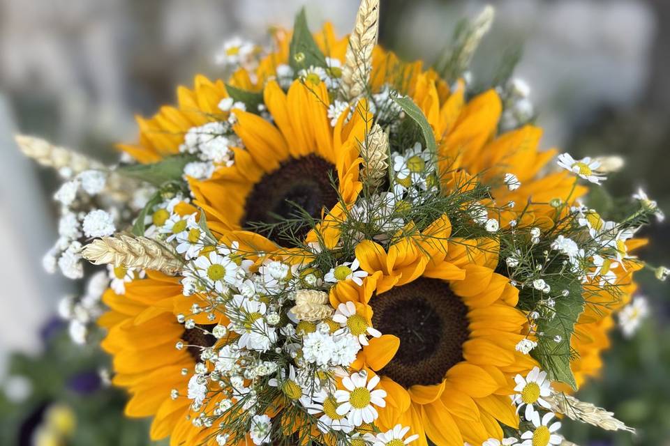 Sunflower bridal posy