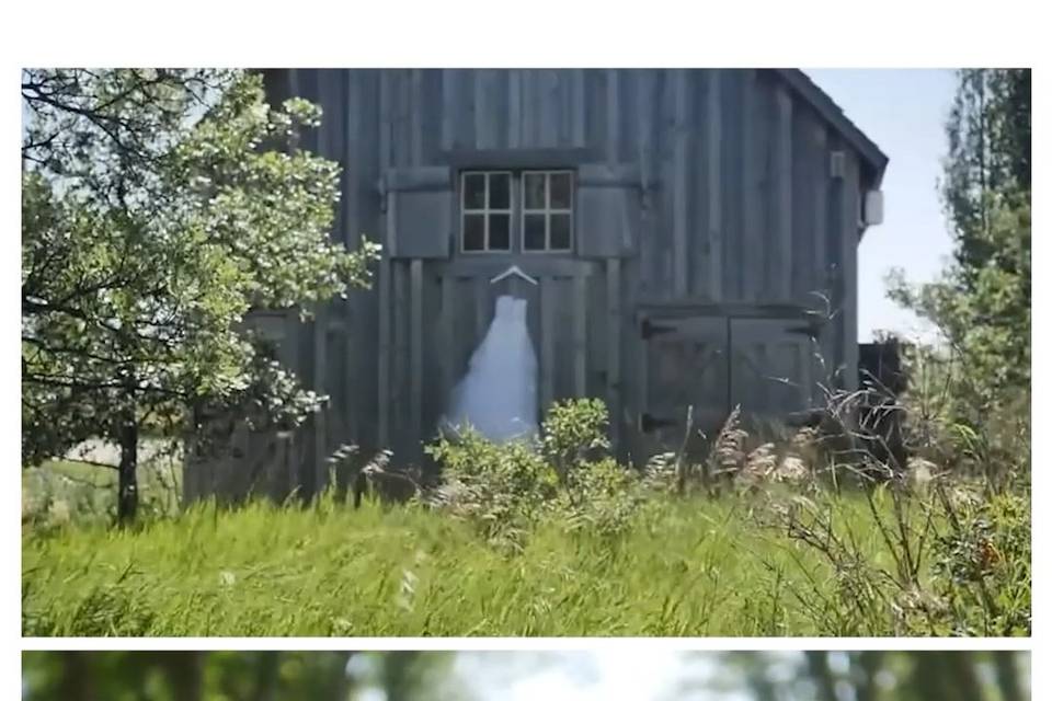 Alberta Wedding Still