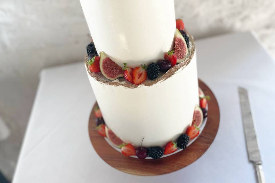 2 tier ganache cake with fruit