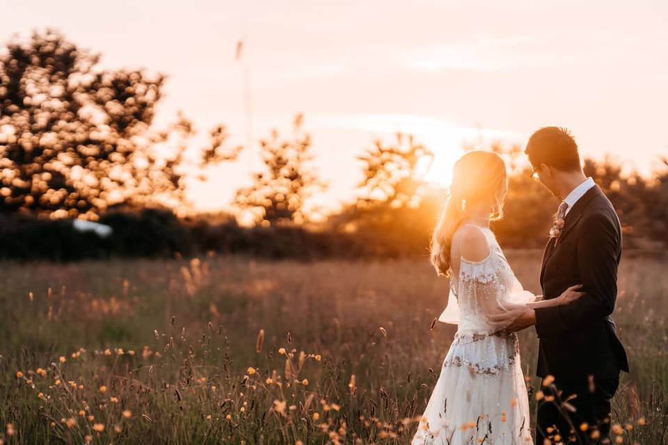 Golden hour in the meadow