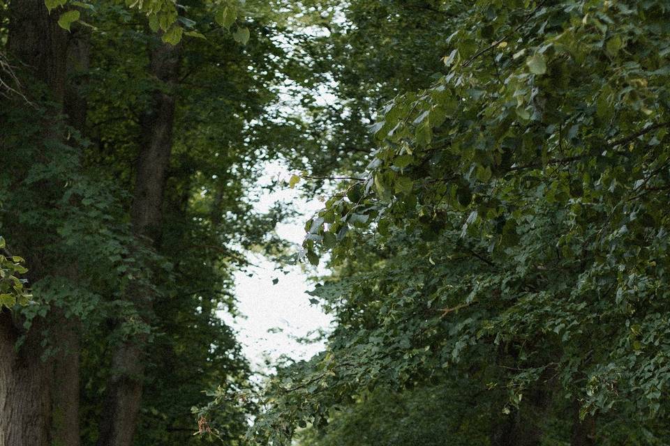 Engagement Shoot