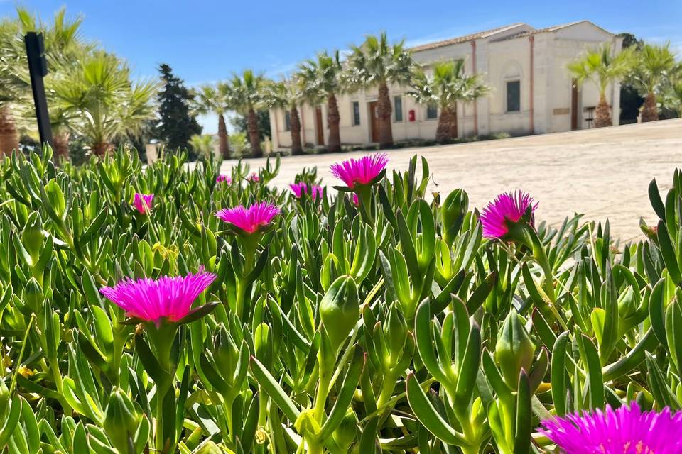 Square
