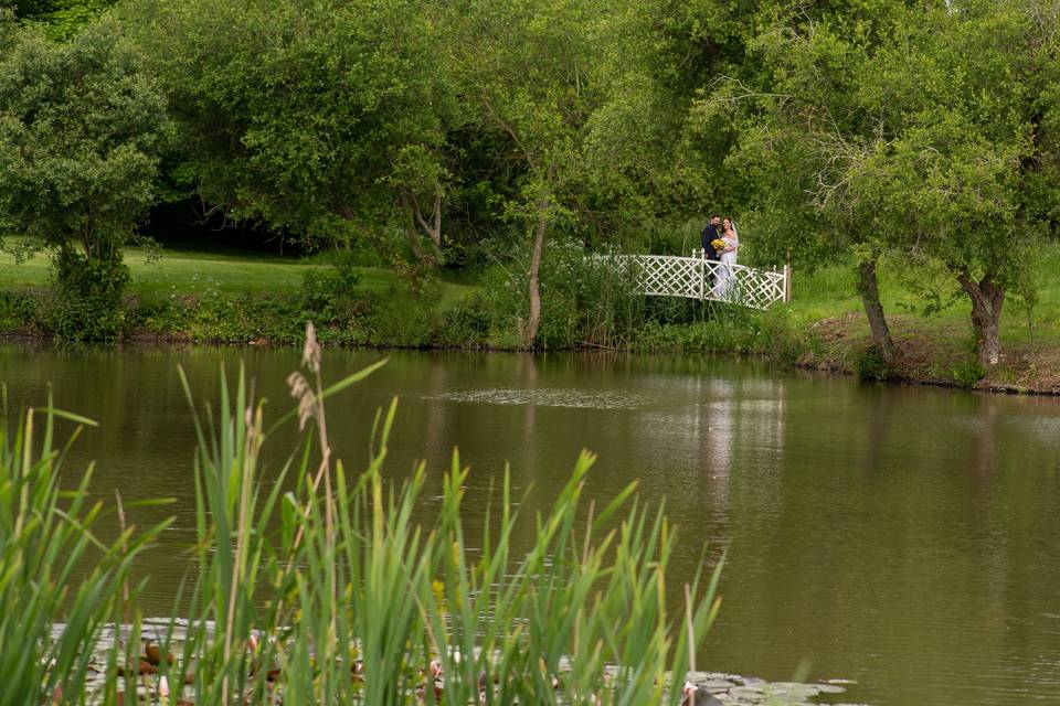 By the pond