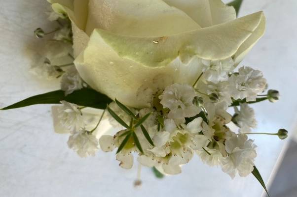 Rose buttonhole