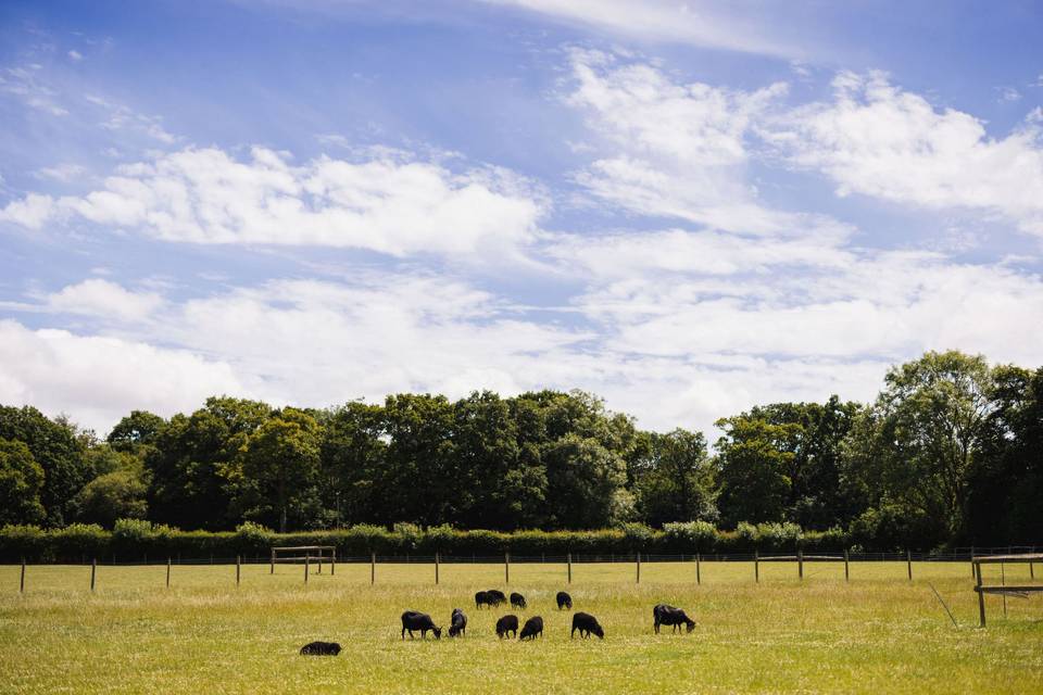 Working farm