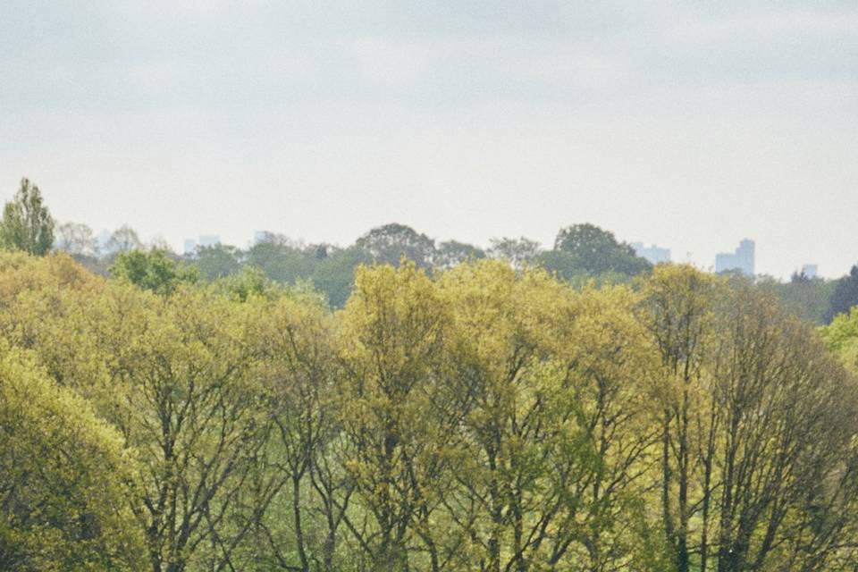 Moments at Hampstead Heath