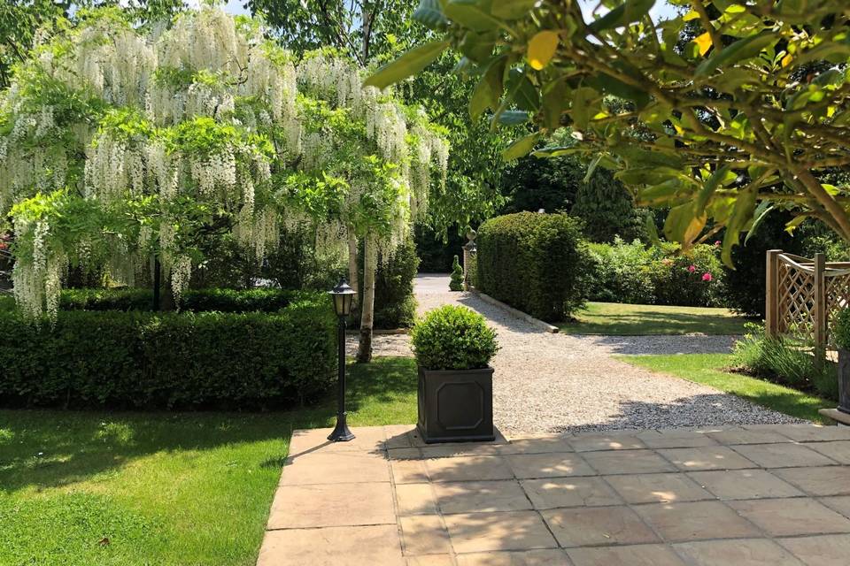 Patio Areas with Wisteria