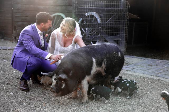 Wedding in the country