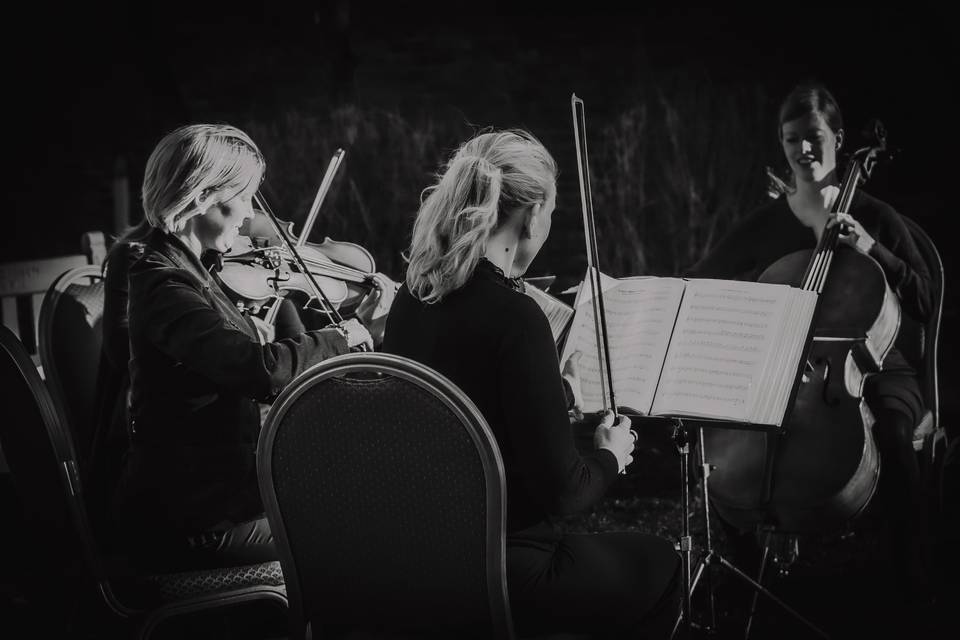 String Quartet