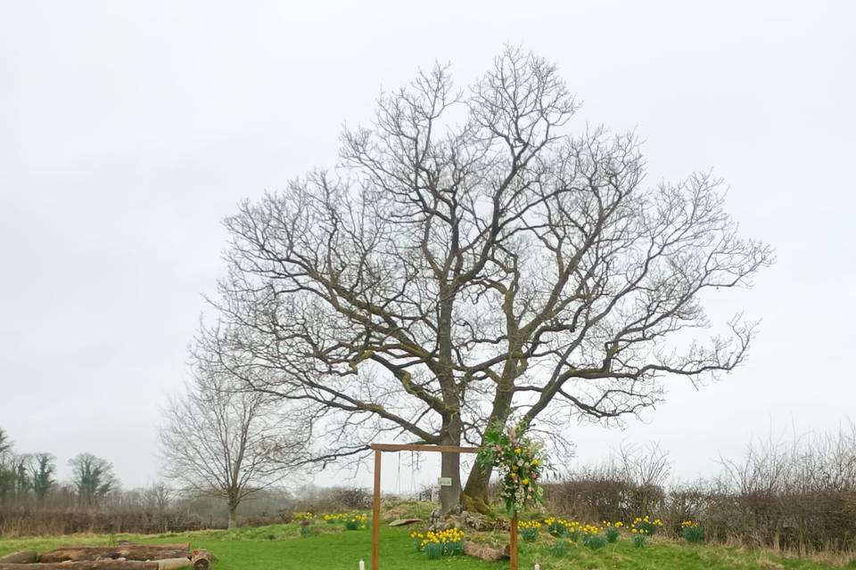 Wedding setup idea in Orchard