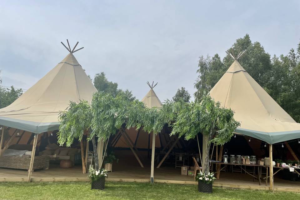 Willow Canopy