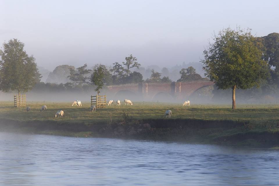 The River Eden