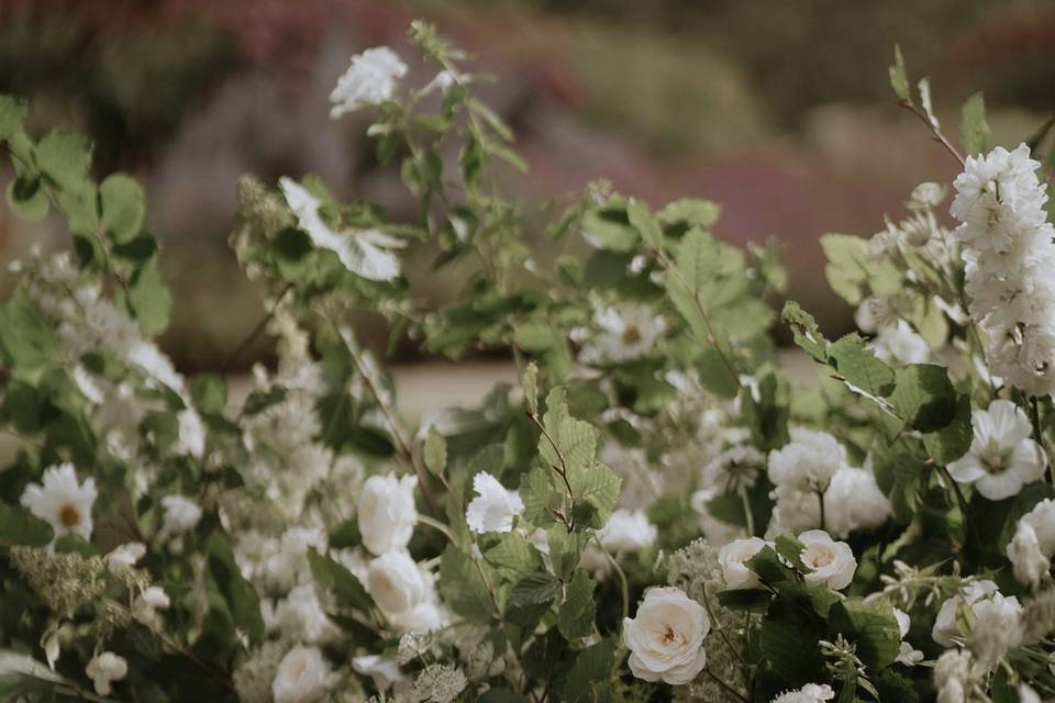 Ceremony Meadow