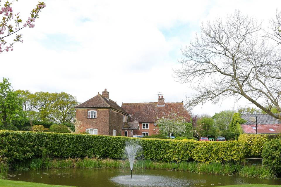 View of pond