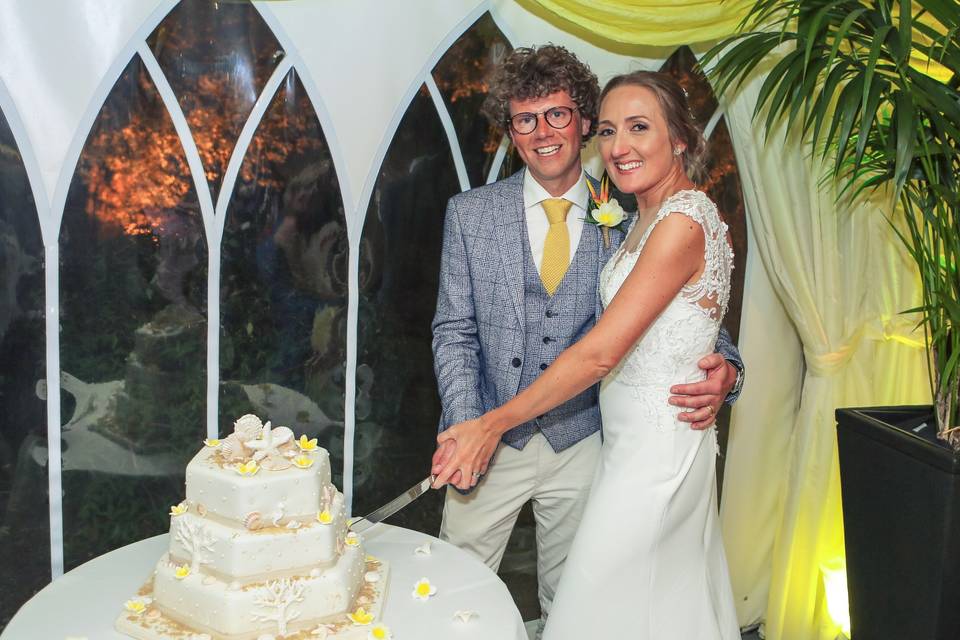 Couple cuttting cake