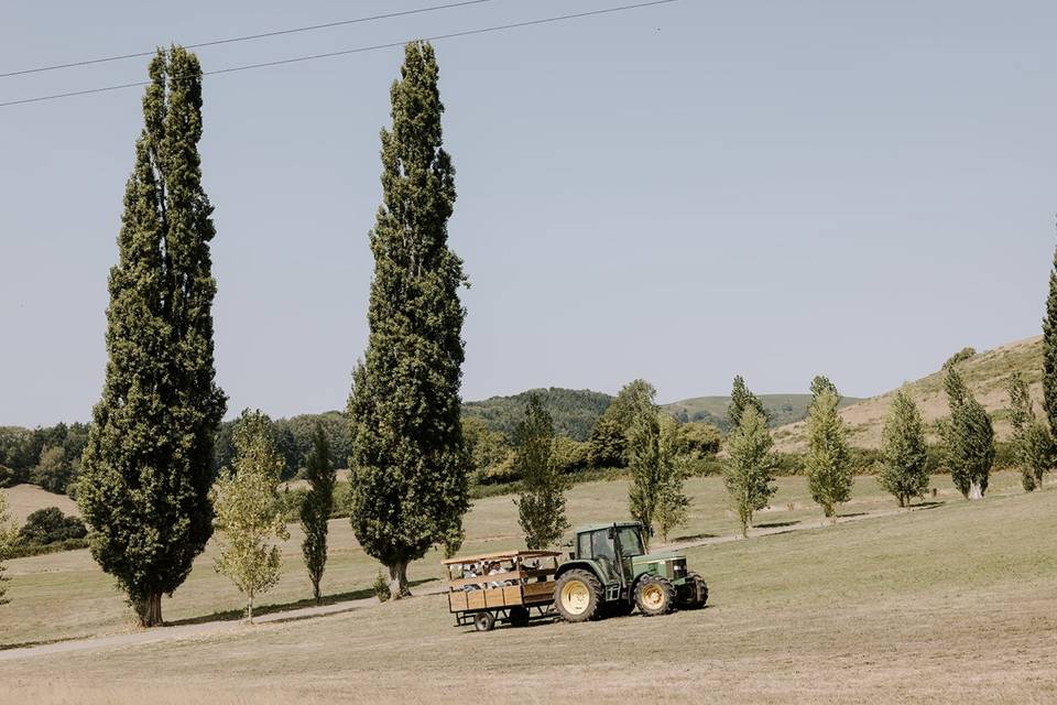 Tractor rides