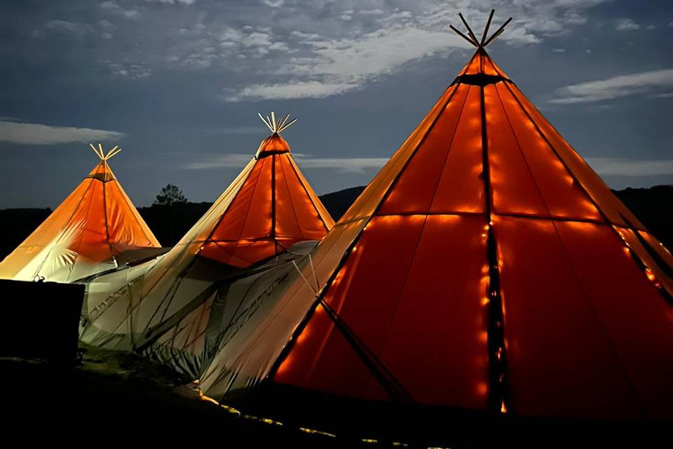 Tipi