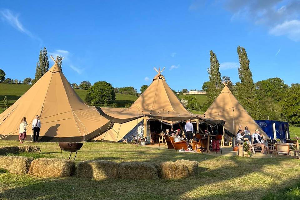 Java Tipis in the field