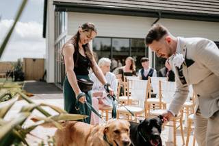 Hannah's Wedding Dog Chaperone
