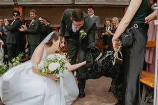 Hannah's Wedding Dog Chaperone