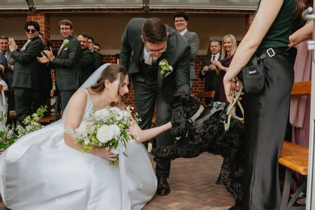Hannah's Wedding Dog Chaperone