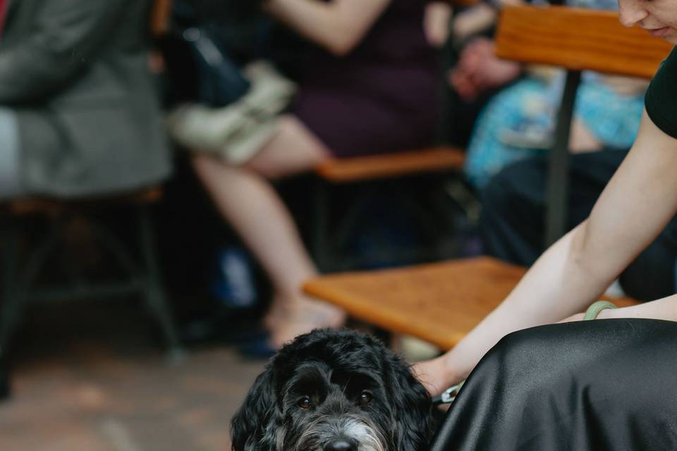 Monty