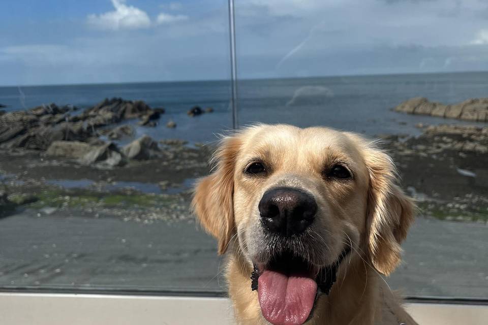 Sandy