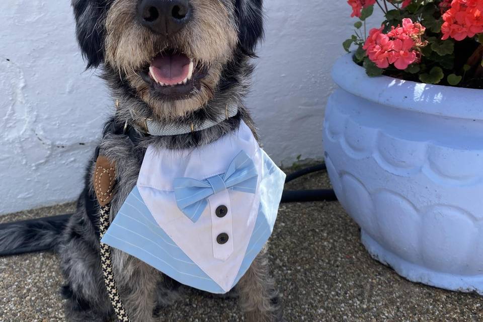Dexter