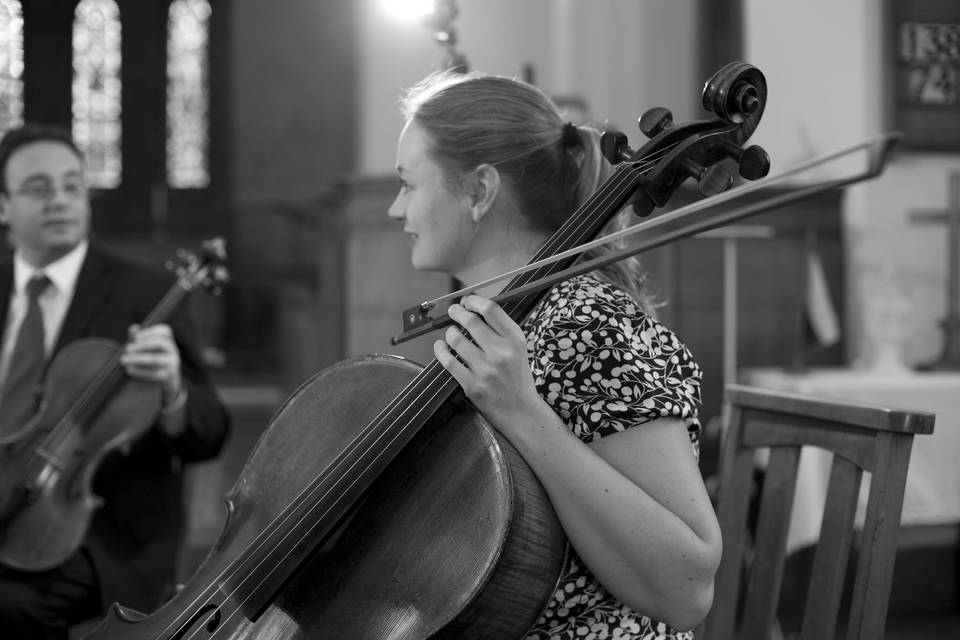 Cello