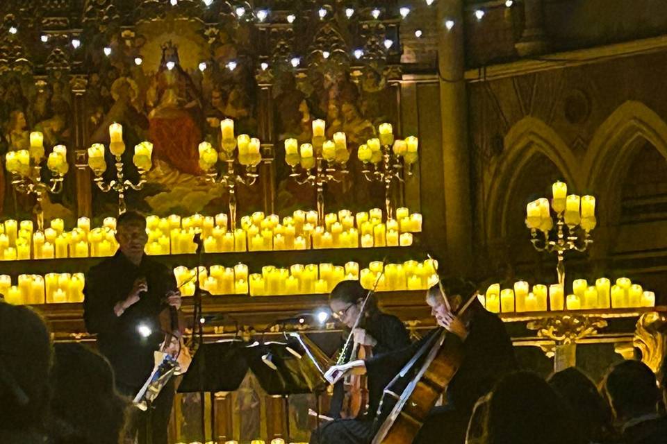 Fever Candlelight