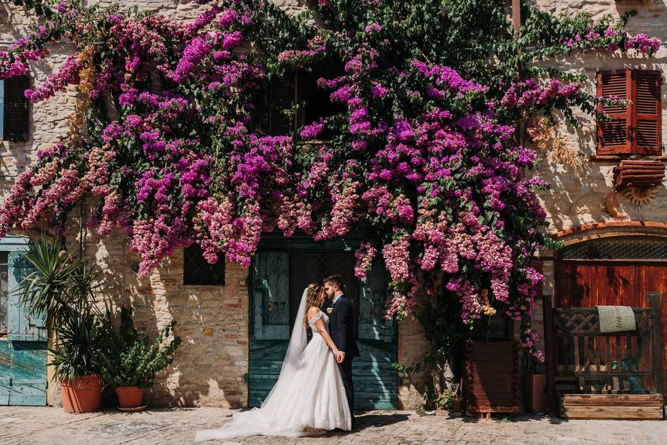 Floral burst of colour