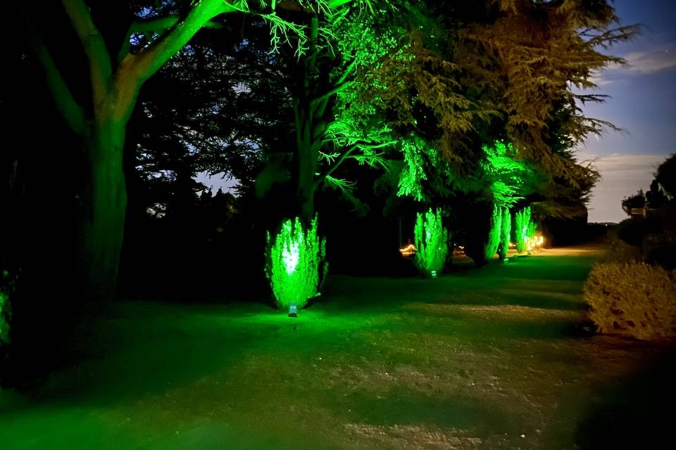 Outdoor Lighting