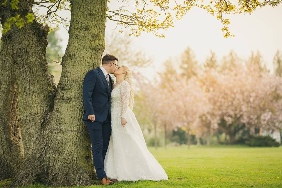 Hayne House gardens