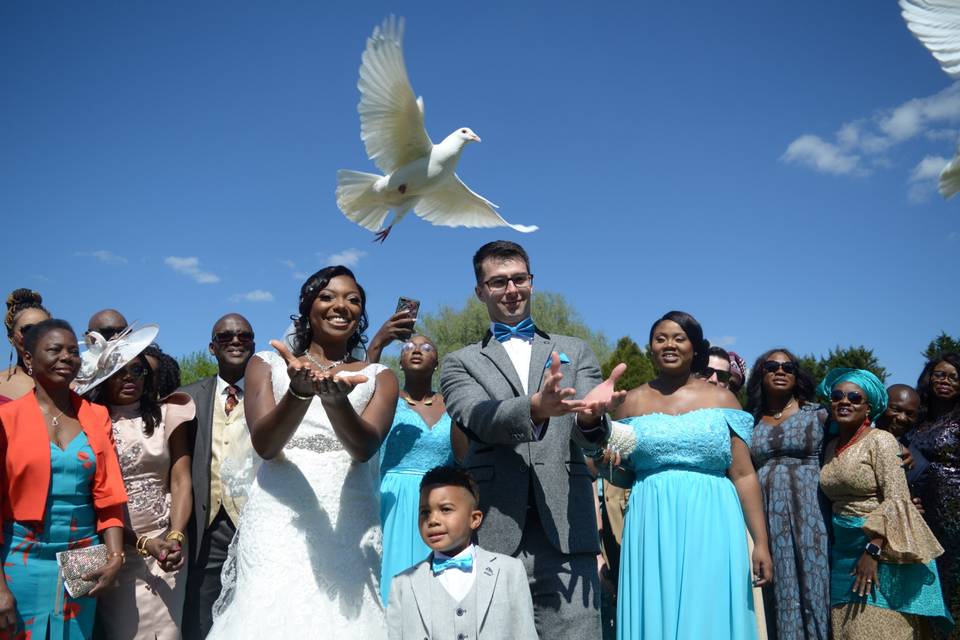 Angel Wings Dove Release Herts