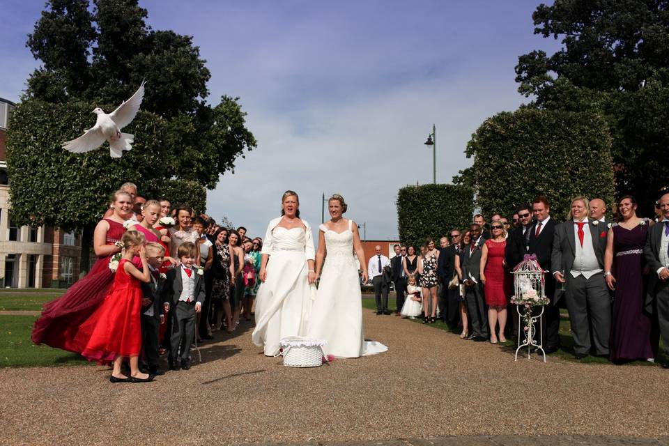 Angel Wings Dove Release Herts