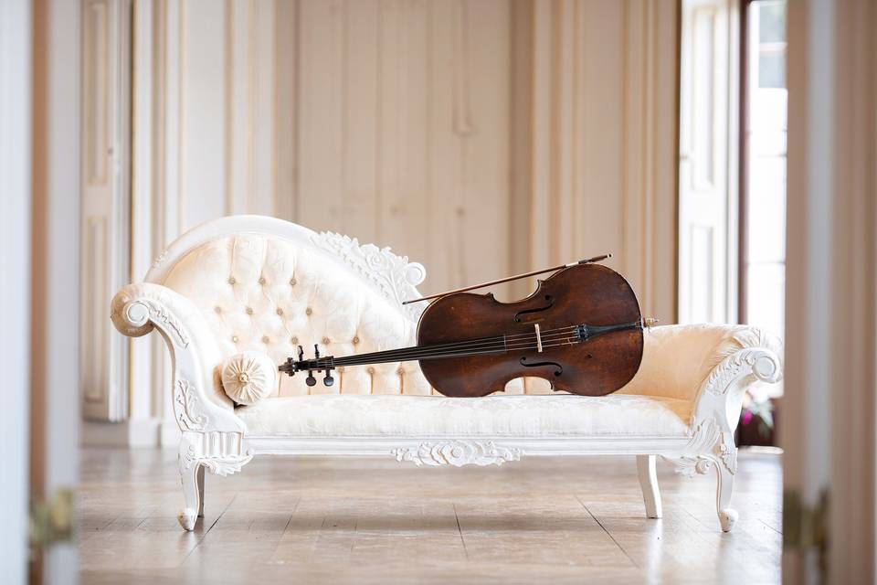 Luxury Wedding Cellist