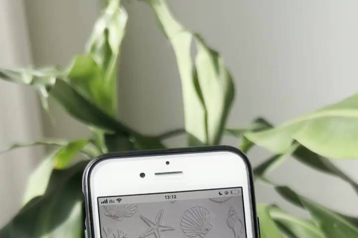 Wedding website