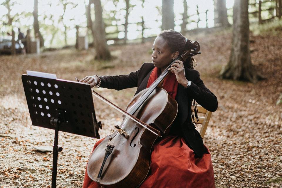 Luxury wedding cellist