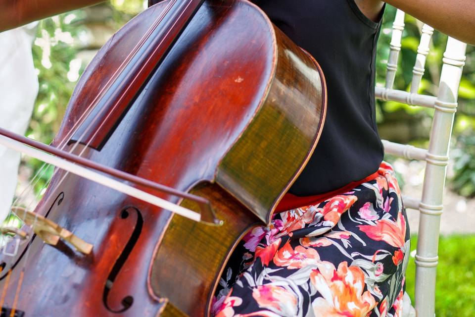 Wedding cellist London