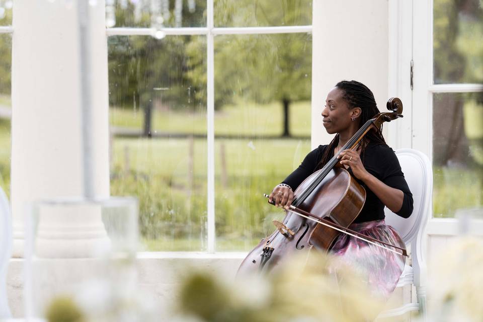 Gunnersbury Park Wedding Cello