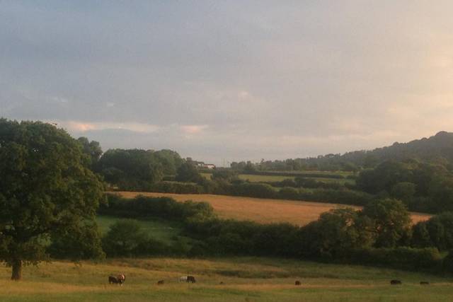 Tanyard Farm