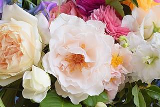 Bouquets n Bunches