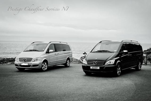 MPVs silver & black